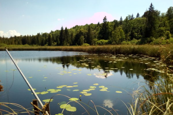 Du Lac d'Onoz aux berges du Lac de Vouglans