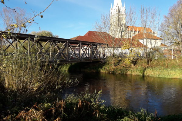 La Plaine de l'Arlier et ses zones humides